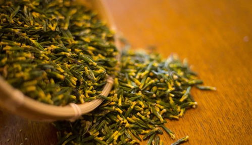 榨糖 采蓮 趕鴨子,這座莊園讓我見到了生活最美好的樣子