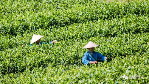 我眼中的云浮,在山水田間有萬種風情