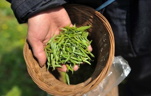 看看這些長壽健康的特點習慣,你占了幾條