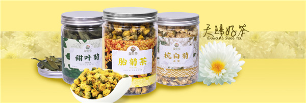 晟景菊菊花茶,發展寧夏的高端菊花茶產業