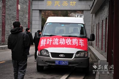 夷陵“無人工廠”搶“鮮”按下潔凈制茶開機鍵