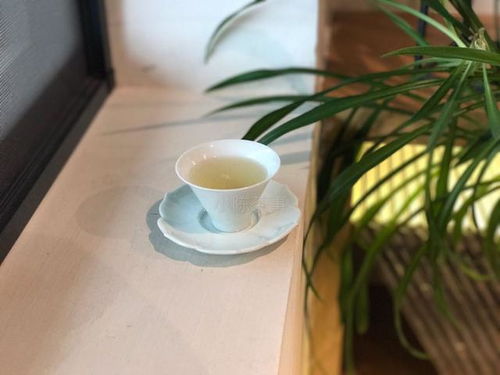 白茶沒有泡出你喜歡的味道,這些原因你都想過嗎