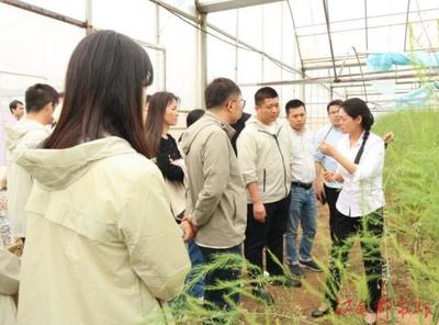 現場教學拓視野 一線攻堅謀新篇--南昌市委黨校第15期副科級干部培訓班開展現場教學