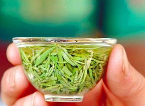 茶癡12條,你占幾條