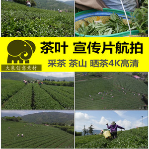 【農產品茶葉價格】最新農產品茶葉