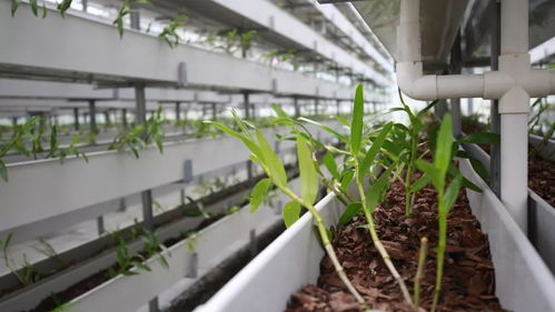 美爆了 這是最新 最可愛的鄖西