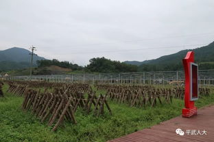 平武縣人大常委會開展第五片區縣人大代表活動