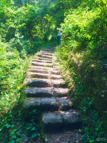 海馬s5社區 易車