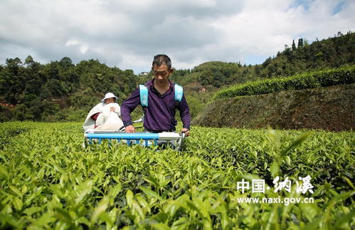 黃玉然 昔日貧困戶 今日致富人