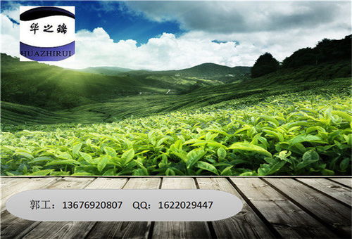 蒲江縣標書制作 上傳電子標書