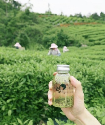 喜茶發布品質真奶標準，以沉淀經驗推動新茶飲供應鏈品質升級