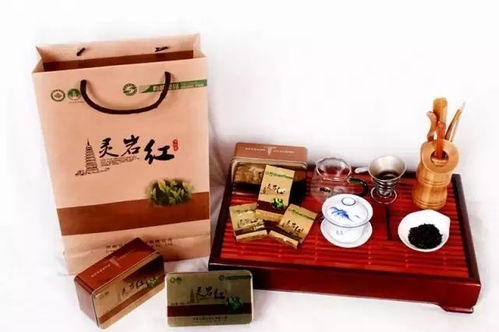 長清特產全攻略 茶葉種植的傳承與創新