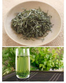 高山野茶 自然饋贈還是正宗茶葉？